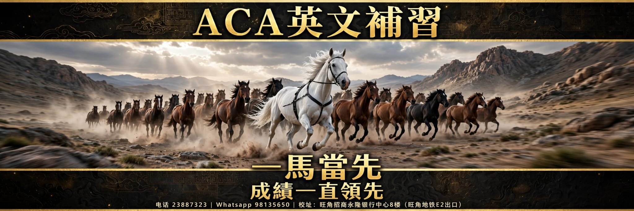 ACA英文補習：山谷白馬領先啡馬群，一馬當先橫幅